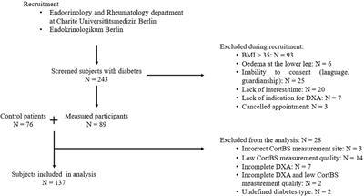 Quantitative ultrasound imaging reveals distinct fracture-associated differences in tibial intracortical pore morphology and viscoelastic properties in aged individuals with and without diabetes mellitus – an exploratory study